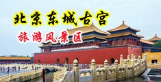 呦呦逼逼插爽中国北京-东城古宫旅游风景区